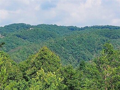 795 Wagon Ridge Ln, Ferguson, NC 28624 - photo 6