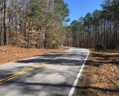 0 Dorsett Shoals Rd unit 7336228, Douglasville, GA 30135 - photo 7