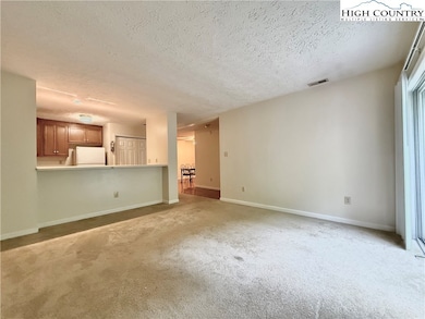 800 Meadowview Dr unit 17, Boone, NC 28607 - photo 6