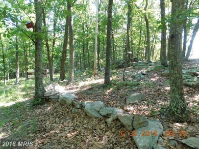 0 Rt 9 W unit 1001953478, Paw Paw, WV 25434 - photo 6