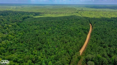 0 Attala Rd 3217 New Salem Rd, Kosciusko, MS 39090 - photo 4