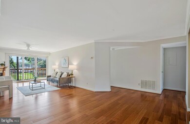 7002 Channel Village Ct unit 101, Annapolis, MD 21403 - photo 5