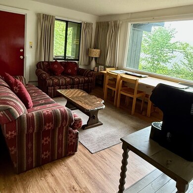 41 Whaleback Rd unit 2, Lincoln, NH 03251 - photo 3