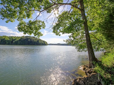 3141 W Gallaher Ferry Rd, Knoxville, TN 37932 - photo 4