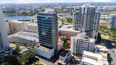 55 Las Palmeras, San Juan, PR 00901 - photo 2