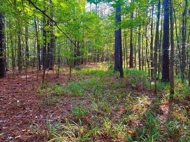 3050 James Dr NW, Wesson, MS 39191 - photo 6