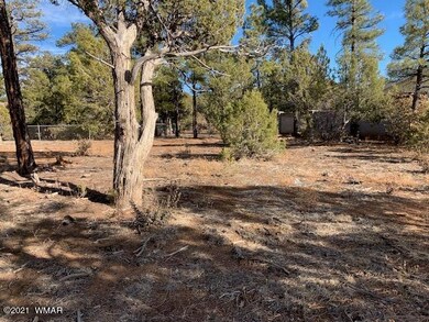 0 N Canyon Loop unit 234032, Show Low, AZ 85901 - photo 5