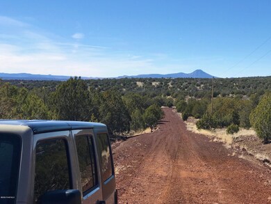 1201 County Line Cir, Ash Fork, AZ 86320 - photo 7