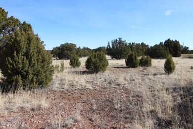 Lots of trees