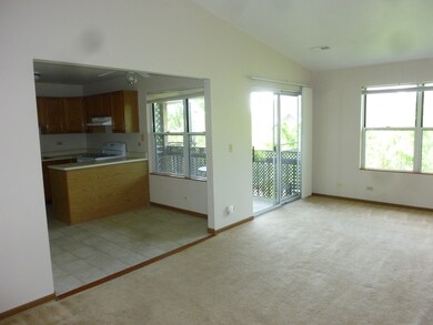 310 Village Creek Dr unit 2C, Lake In the Hills, IL 60156 - photo 5