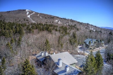 53 Birches Way unit BA1, Peru, VT 05152 - photo 3