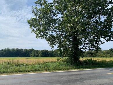 IMG_2372