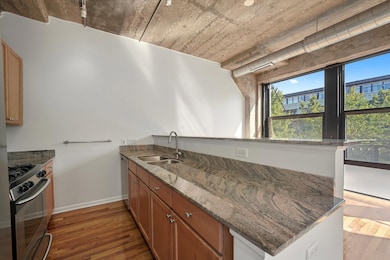 University Commons II unit 251, Chicago, IL 60608 - photo 6