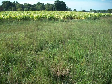 rd frontage of open land