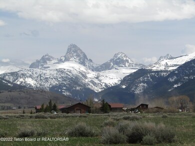 2 Early spring View 2022