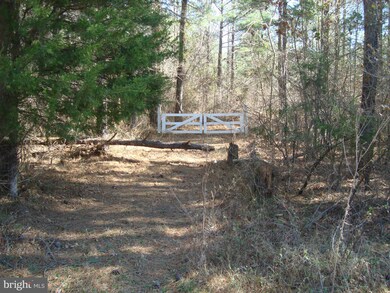 0 Governors Point Ln unit 1000184063, Unionville, VA 22567 - photo 2