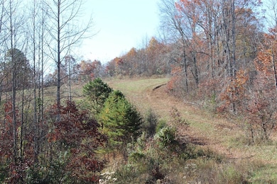 0 Deadend Trail, Garrison, KY 41141 - photo 5