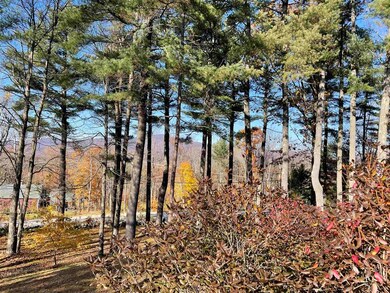 1 Schoolhouse Rd, Center Tuftonboro, NH 03816 - photo 4