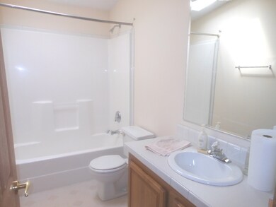 319 Tulip Cir, Matteson, IL 60443 - photo 4