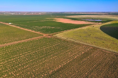 1736 C R 5500, Lubbock, TX 79403 - photo 2