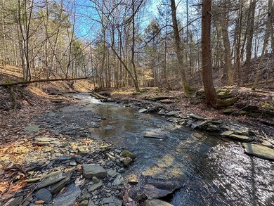 Gorgeous Rushing Creek