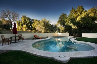 Backyard Views