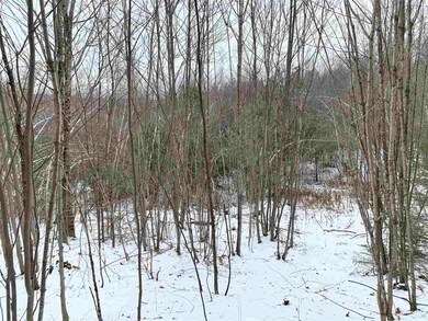 Lot 2 Cheever Rd, Wentworth, NH 03282 - photo 6
