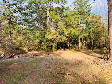 10256 Rabbit Run Rd, Baconton, GA 31716 - photo 4