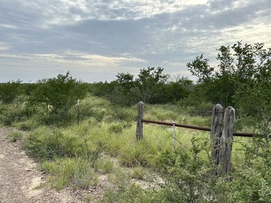 3441 U S Highway 83 unit PARCEL 3-C TX, Zapata, TX 78076 - photo 3