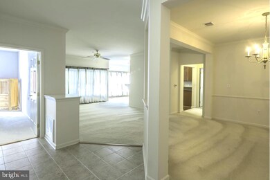 1011 Samantha Ln unit 5-203, Odenton, MD 21113 - photo 3