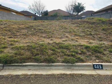 609 Waxwing Cedar Dr, Laredo, TX 78045 - photo 5