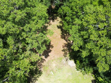 5810 Dixie Plantation Rd, Hollywood, SC 29449 - photo 4