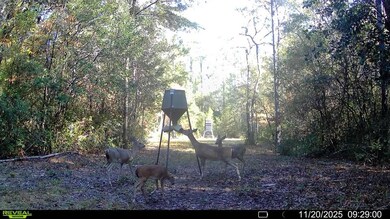 Parcel A Sunburst Dr, Crestview, FL 32539 - photo 5