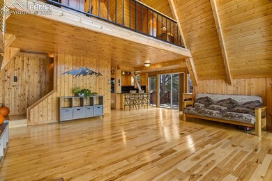 66 Blue Mesa Dr, Divide, CO 80814 - photo 7