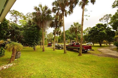 9721 169th Court N Farms rear yard 1