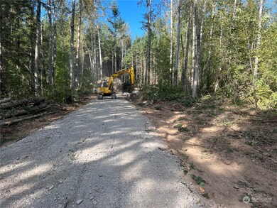 1813 394th St S, Roy, WA 98580 - photo 3