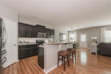 Stunning Chef's Kitchen