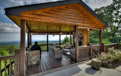 430 Henderson Ln, Mineral Bluff, GA 30559 - photo 4