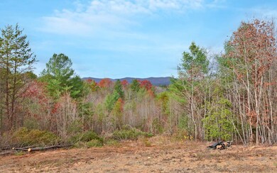 Additional View