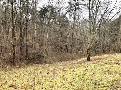 Woods