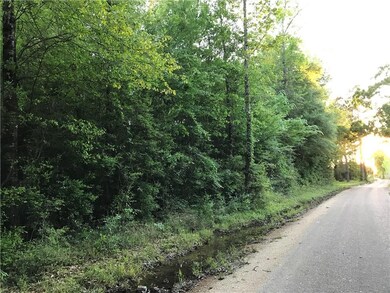 43056 Bateman Rd, Franklinton, LA 70438 - photo 4