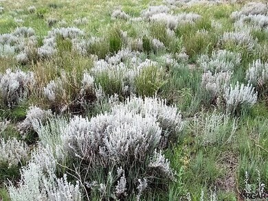 Smell the sage