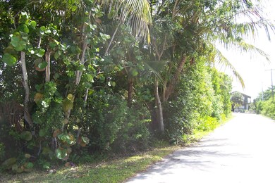 Gato Road side