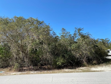 Lot 12 Susan St, Cedar Key, FL 32625 - photo 5