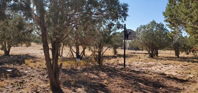 2237 N Luana Dr, Williams, AZ 86046 - photo 4