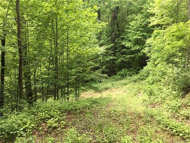View from top of driveway looking down