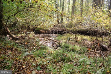 4430 Camelot Dr, Pomfret, MD 20675 - photo 6