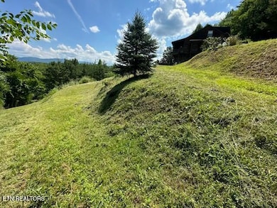 1015 Kizzy Patch Way, Del Rio, TN 37727 - photo 7