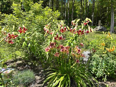 1452 Tyson Rd, Reading, VT 05062 - photo 7