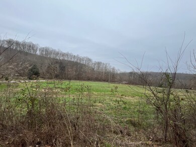 000 Walnut Grove Rd, Waynesboro, TN 38485 - photo 6